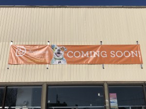 Dogtopia Coming Soon