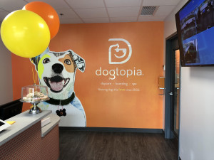 Dogtopia Franchise Construction Dedham MA