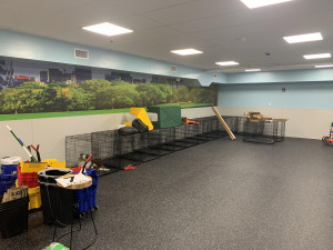 Dogtopia Franchise Construction Dedham MA