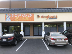 Dogtopia Franchise Construction Dedham MA