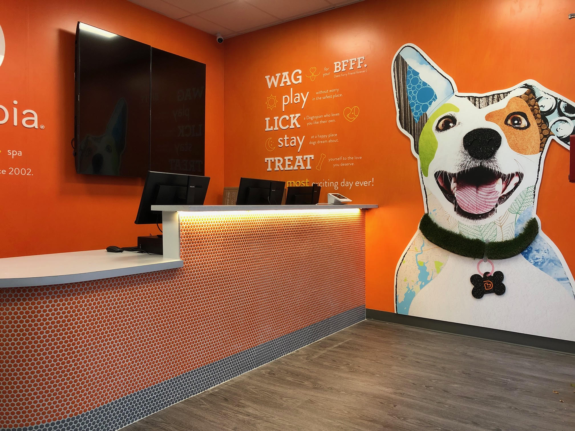 It’s Official: Dogtopia Norwalk Grand Opening 12/6!