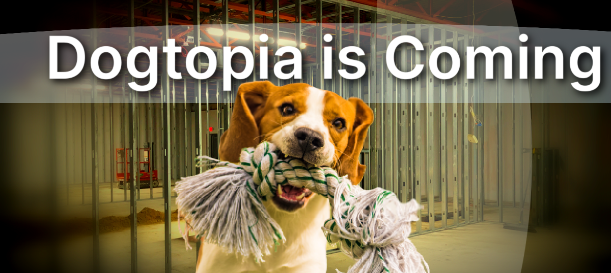 Dogtopia is coming to Plymouth County!