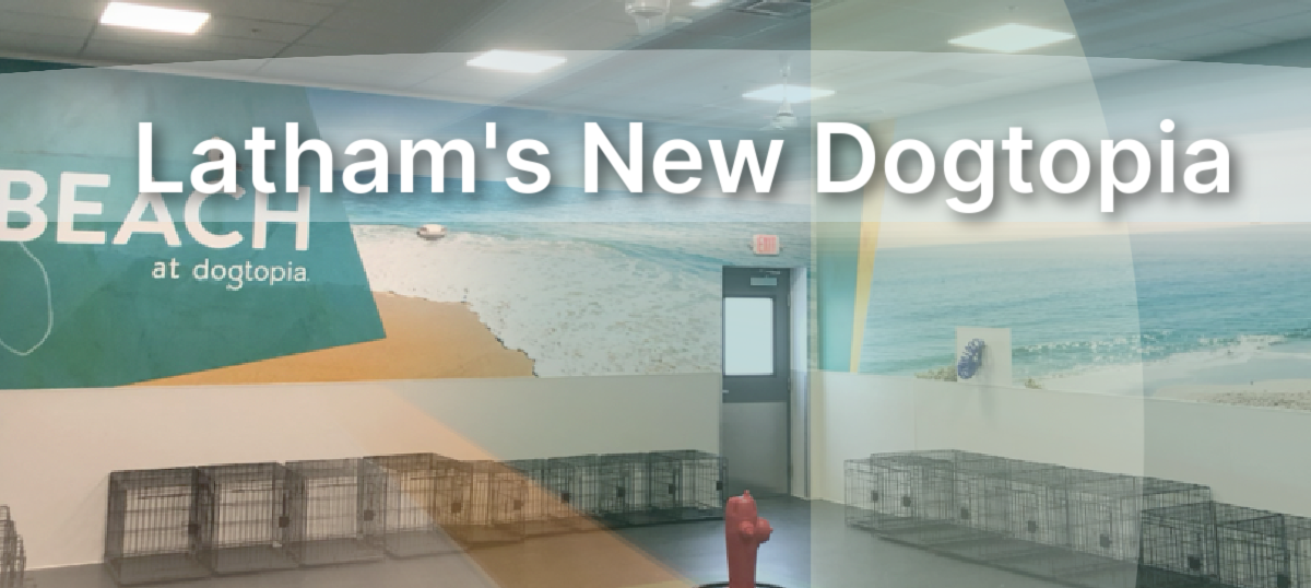 Latham's New Dogtopia M&M Constructions